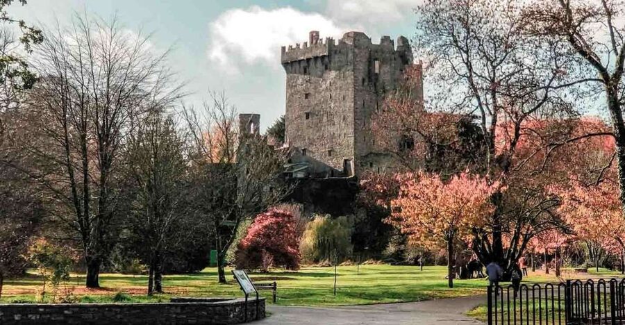 From Cork: County Cork Highlights Tour with Entrance Tickets - Meeting at Paddywagon Tours and getting the day’s rhythm right