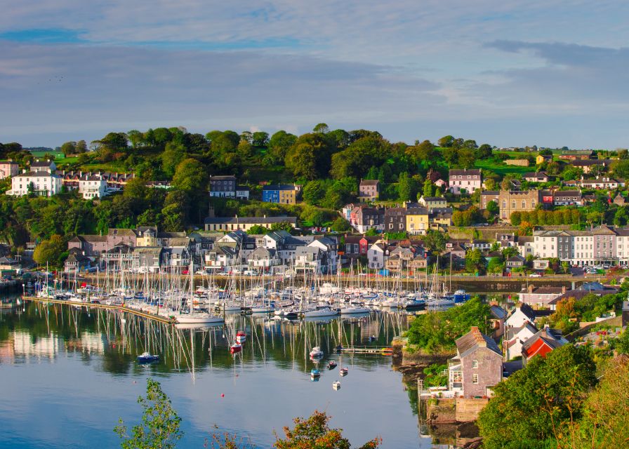 From Cork: County Cork Highlights Tour with Entrance Tickets - Transport comfort, pacing, and the guide experience