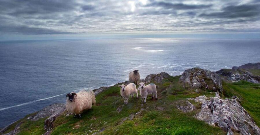 From Cork: Guided Full-Day West Cork to Mizen Head Tour - Key Things I’d Plan Around