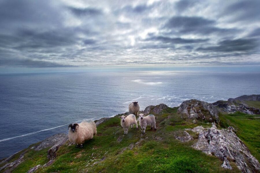 From Cork: Guided Full-Day West Cork to Mizen Head Tour - Starting in Cork: St Patrick’s Quay and a Full-Day Route