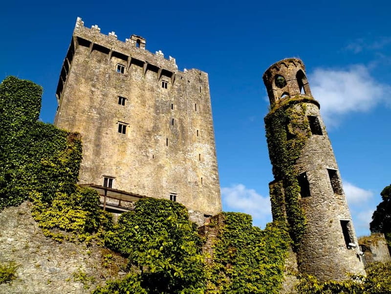 From Cork: Guided Shared Shore Excursion - Key highlights to look forward to