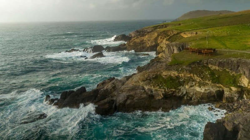 From Cork: Ring of Kerry & Killarney Guided Full Day Tour - Wild Atlantic Way moments: why the ocean road time matters