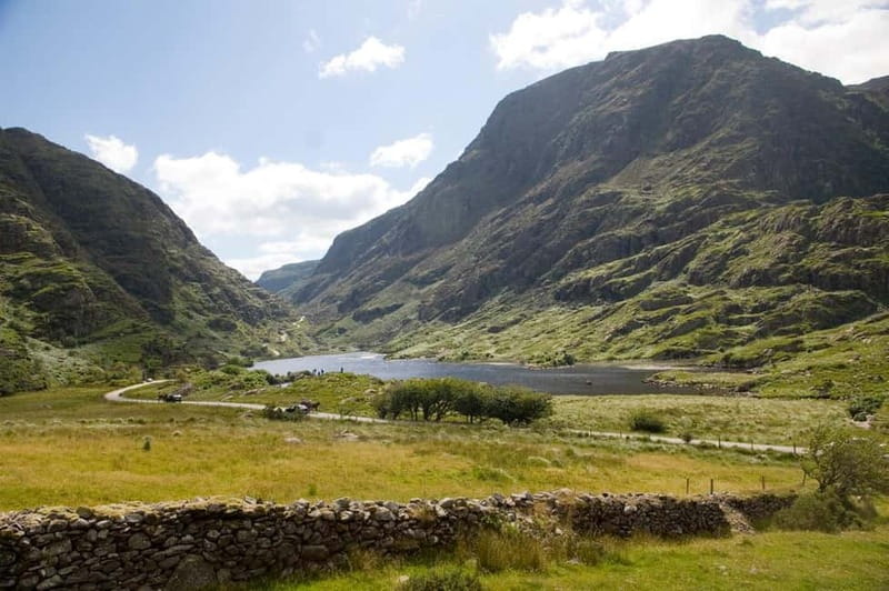 From Cork: Ring of Kerry & Killarney Guided Full Day Tour - Skellig Islands, Star Wars fame, and what to watch for