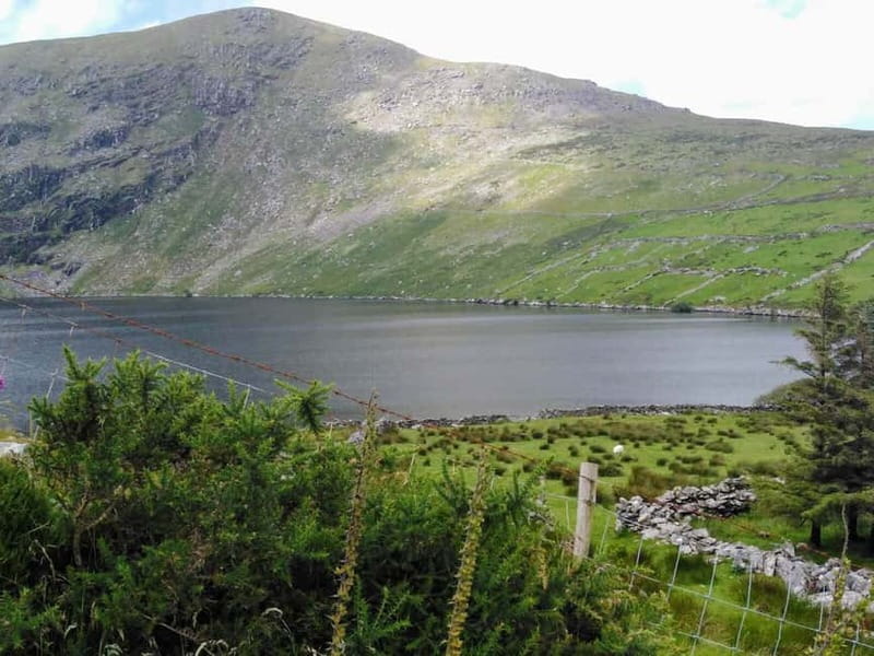 From Cork: Ring of Kerry & Killarney Guided Full Day Tour - Glenbeigh and the scenic beats between stops