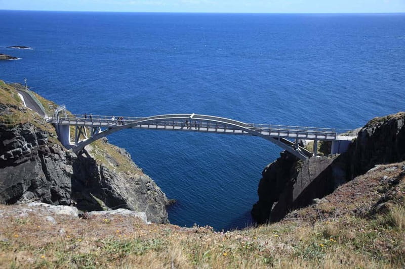 From Cork: West Cork to Mizen Head Guided Full Day Tour - Gougane Barra: oldest national forest park, plus St Finbarr’s Oratory
