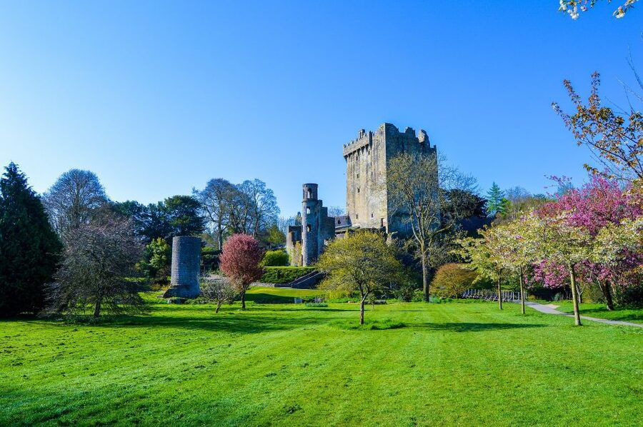 From Dublin: 2-Day Cork, Blarney Castle & Ring of Kerry Tour - Blarney Castle and the Blarney Stone: the classic stop, done efficiently