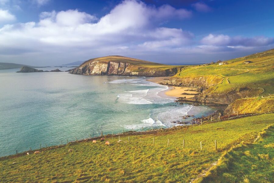 From Dublin: 3-Day Dingle, Killarney & the Wild Atlantic Way - Key Highlights You Should Care About