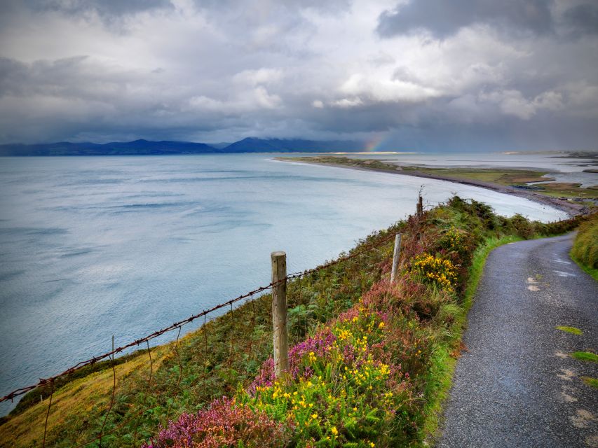 From Dublin: 4-Day Southern and Western Coast Tour - Who this tour fits best (and who should look elsewhere)