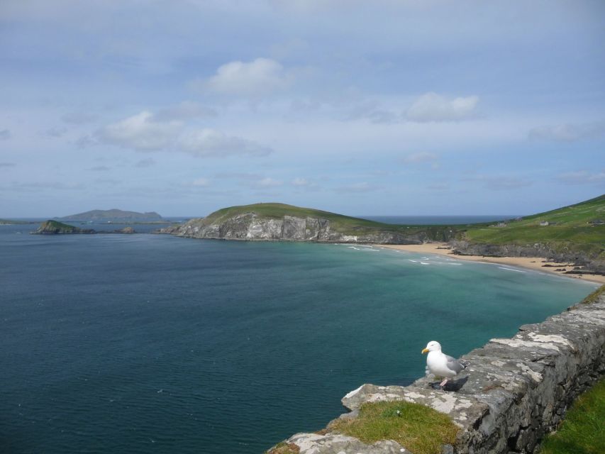 From Dublin: 5-Day Tour to the Southwest with Accommodation - What your 4 B&B nights really mean for the feel of the trip
