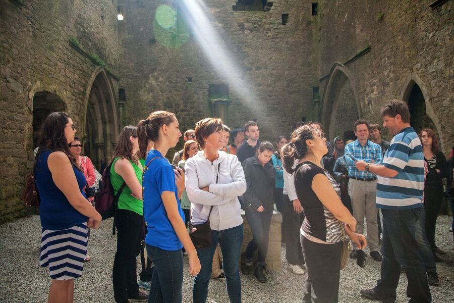 From Dublin: Blarney, Rock of Cashel and Cahir Castles Tour - Price and value: what $96 buys you, and what it does not