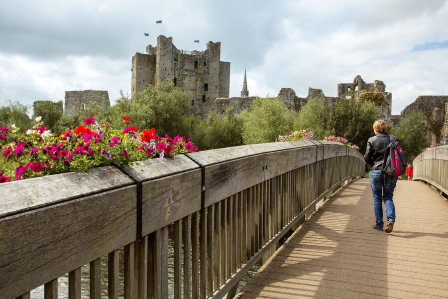 From Dublin: Celtic Boyne Valley and Ancient Sites Tour - Transportation, Timing, and What You Get for About $74