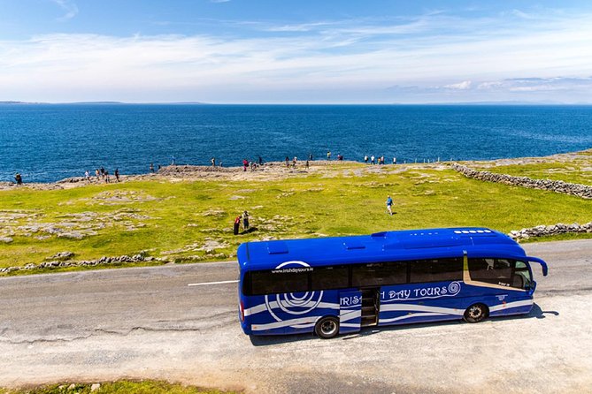 From Dublin: Cliffs of Moher, Bird of Prey & Aillwee Cave - From Molly Malone to the Burren: how the day starts in Dublin