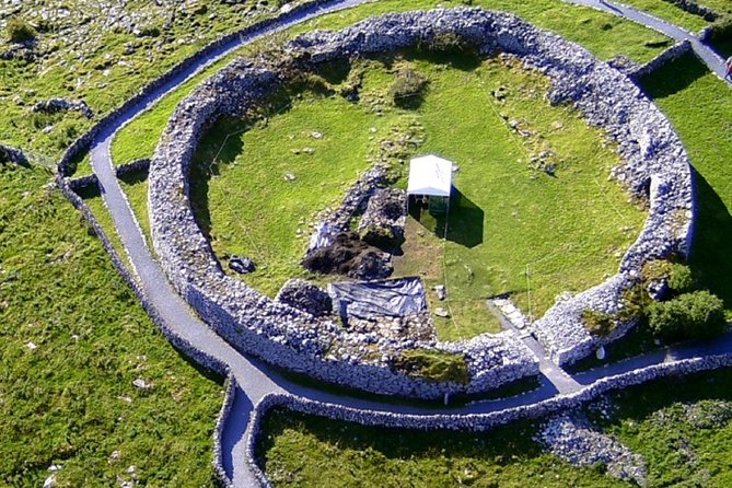 From Dublin: Cliffs of Moher, Bird of Prey & Aillwee Cave - Time, comfort, and group size: the practical reality of 94 people