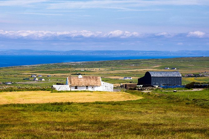 From Dublin: Cliffs of Moher, Bird of Prey & Aillwee Cave - Value for money: is $126.15 worth it?
