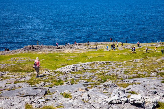 From Dublin: Cliffs of Moher, Bird of Prey & Aillwee Cave - Who this tour fits best (and who should skip it)