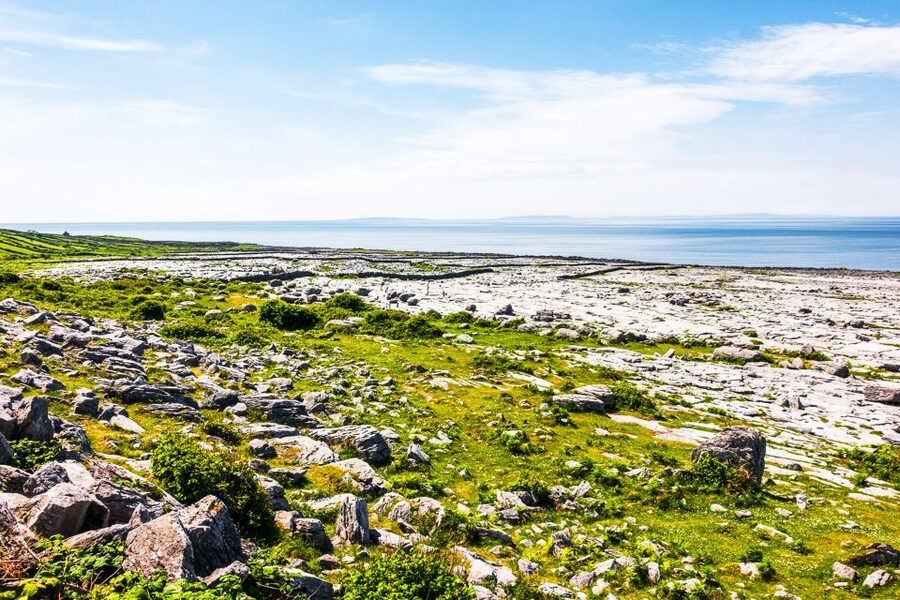 From Dublin: Cliffs of Moher, Burren & Galway City Day Tour - Coach comfort, seat strategy, and restroom reality