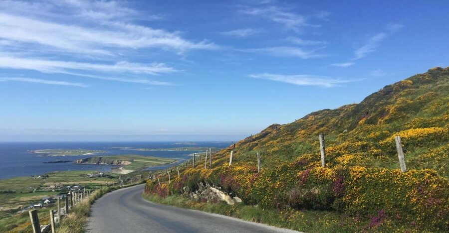 From Dublin: Connemara and Galway Bay Day Tour - Leenane and Killary Harbour: fjord views in the morning