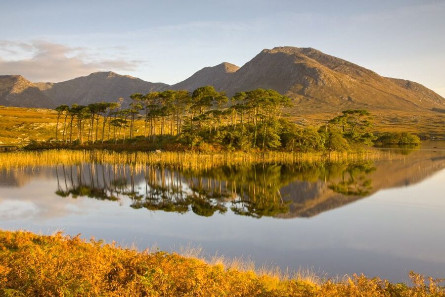 From Dublin: Connemara and Galway Full-Day Tour - Who this tour fits best (and who should pass)