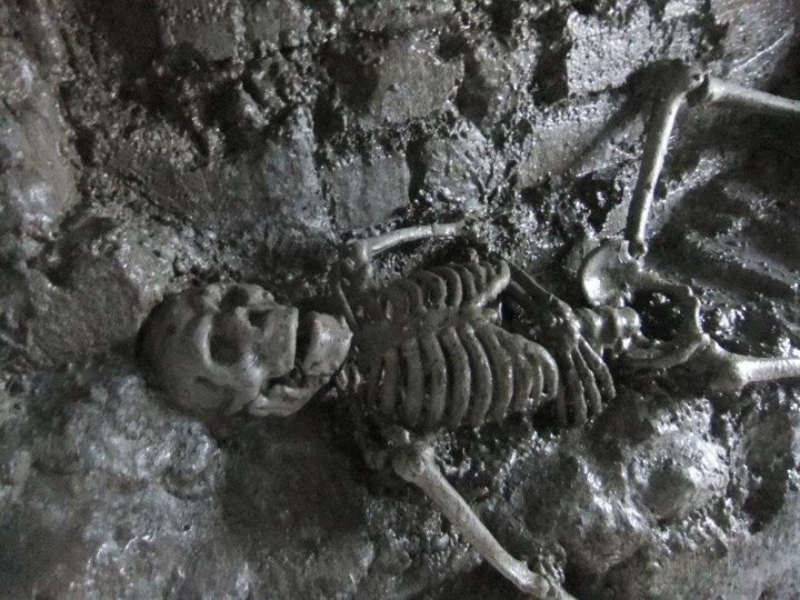 From Dublin: Gravedigger Ghost Bus Tour - Who this tour is best for (and who should skip it)