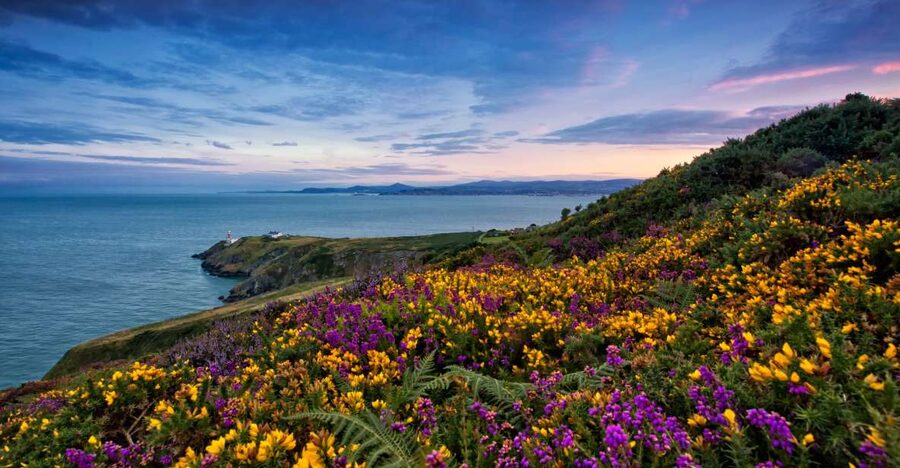 From Dublin: Half-Day Guided Coastal Tour to Howth Village - From 13 O’Connell Street Upper to Howth: timing that actually matters
