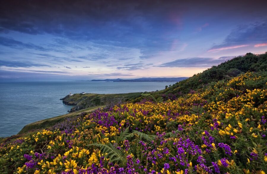 From Dublin: Half-Day Guided Coastal Tour to Howth Village - Howth Summit and the Martello Tower glimpse you can actually use