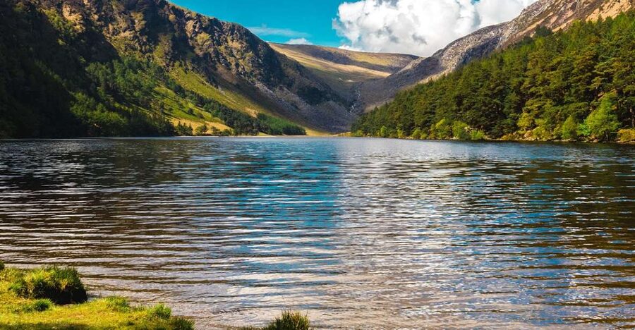 From Dublin: Half-Day Trip to Glendalough and Wicklow - Wildlife, Film Spots, and Those Little Glendalough Moments