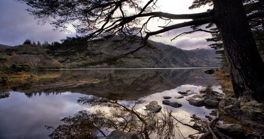 From Dublin: Wicklow Mountains, Glendalough & Kilkenny Tour - Key things I’d watch for