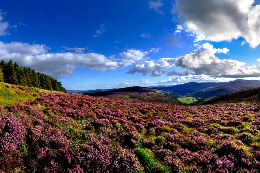 From Dublin: Wicklow Mountains, Glendalough & Kilkenny Tour - Wicklow Mountains and Glendalough, the best kind of day trip pace