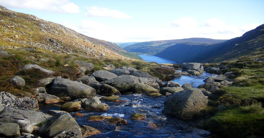 From Dublin: Wicklow Mountains, Glendalough & Kilkenny Tour - The Upper Lake option: boardwalk walking for the curious