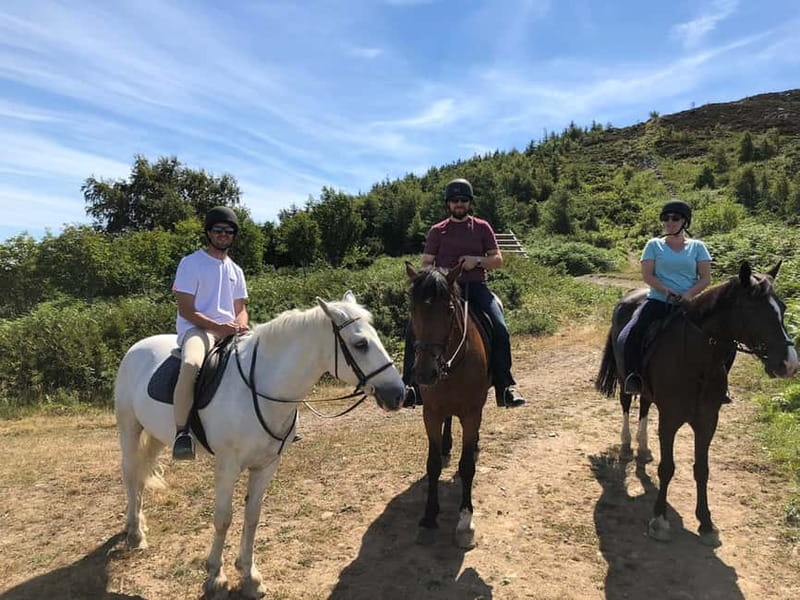 From Dublin: Wicklow, Powerscourt, and Glendalough Day Tour - Should you book the Dublin to Wicklow, Powerscourt, and Glendalough day tour?