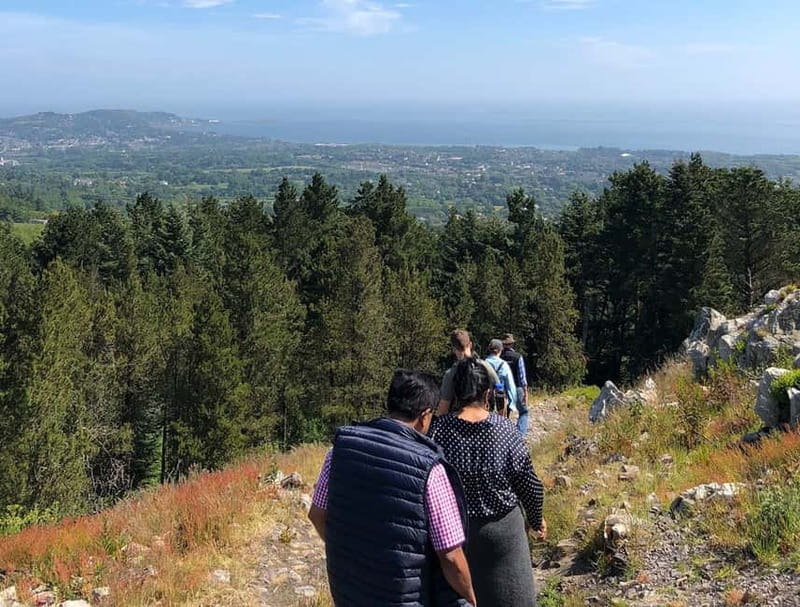 From Dublin: Wicklow, Powerscourt, and Glendalough Day Tour - Comfort, pacing, and the small-group advantage