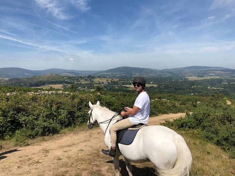From Dublin: Wicklow, Powerscourt, and Glendalough Day Tour - Powerscourt House and Gardens: The “wow” stop that’s worth the entry fee