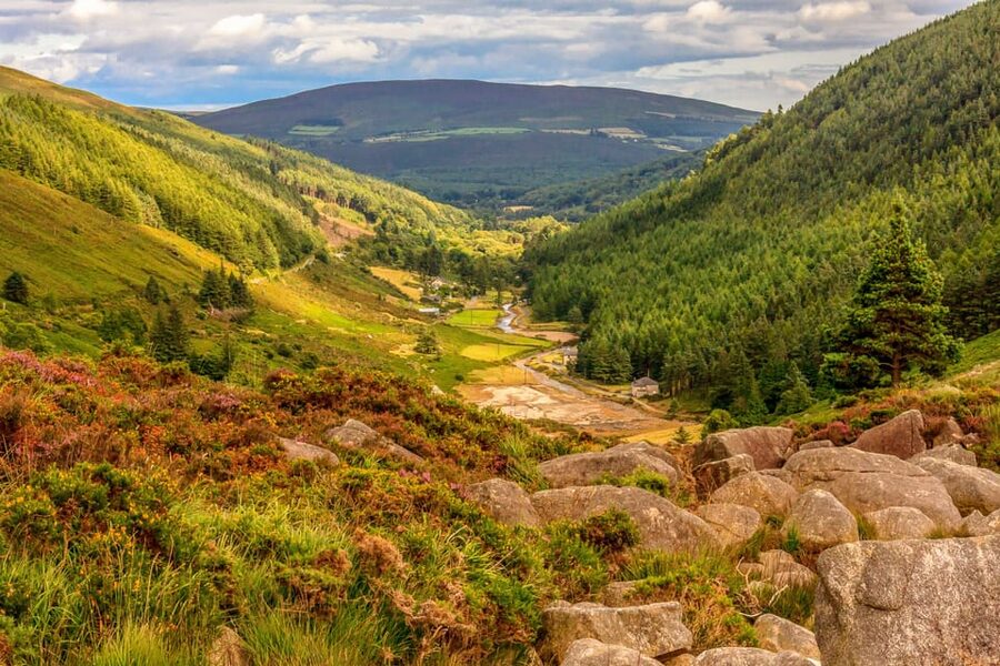 From Dublin: Wild Wicklow Mountains and Glendalough Tour - National Park Time: How the Best Viewpoints Happen on Purpose