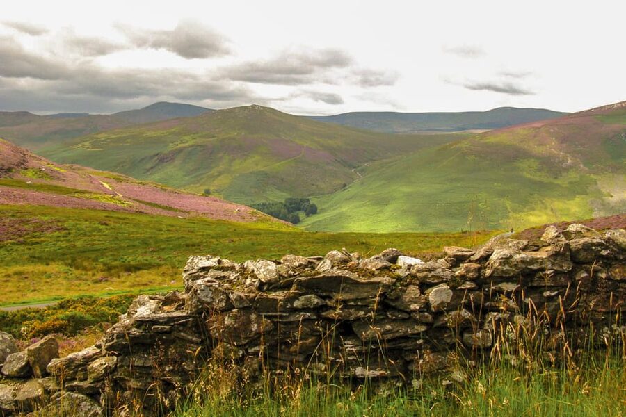 From Dublin: Wild Wicklow Mountains and Glendalough Tour - Pickup, Drop-Off, and Staying Comfortable on a Long Day