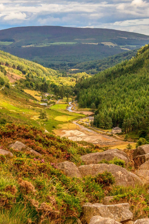 From Dublin: Wild Wicklow Mountains and Glendalough Tour - The Dublin-to-Wicklow Drive, Killiney Hill, and Avoca Break