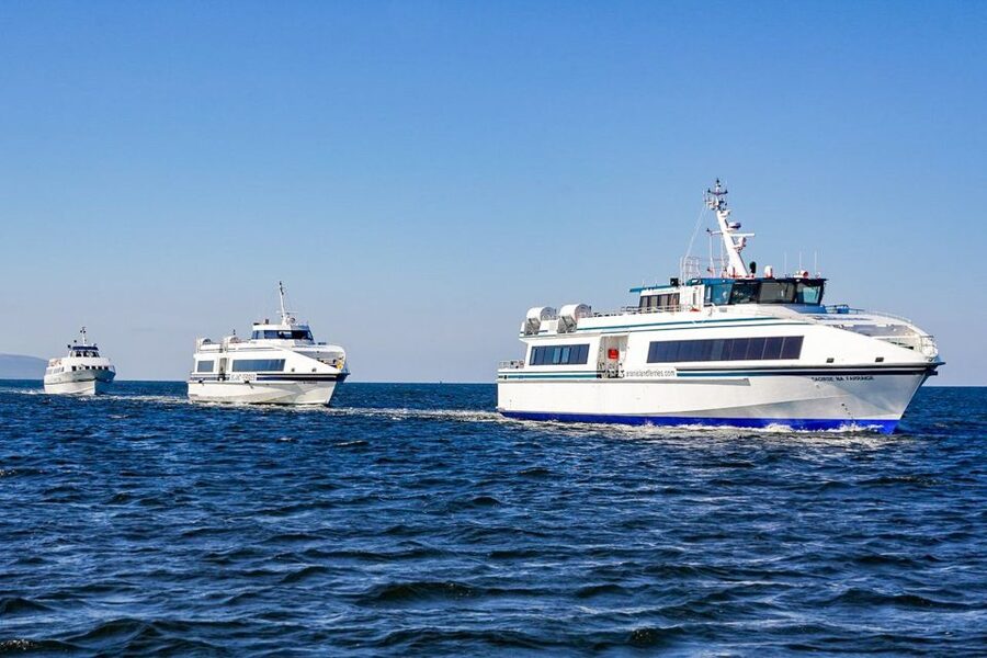 From Galway: Aran Islands & Cliffs of Moher Day Cruise - Wildlife and the Wild Atlantic Way: where the cruise becomes more than sightseeing