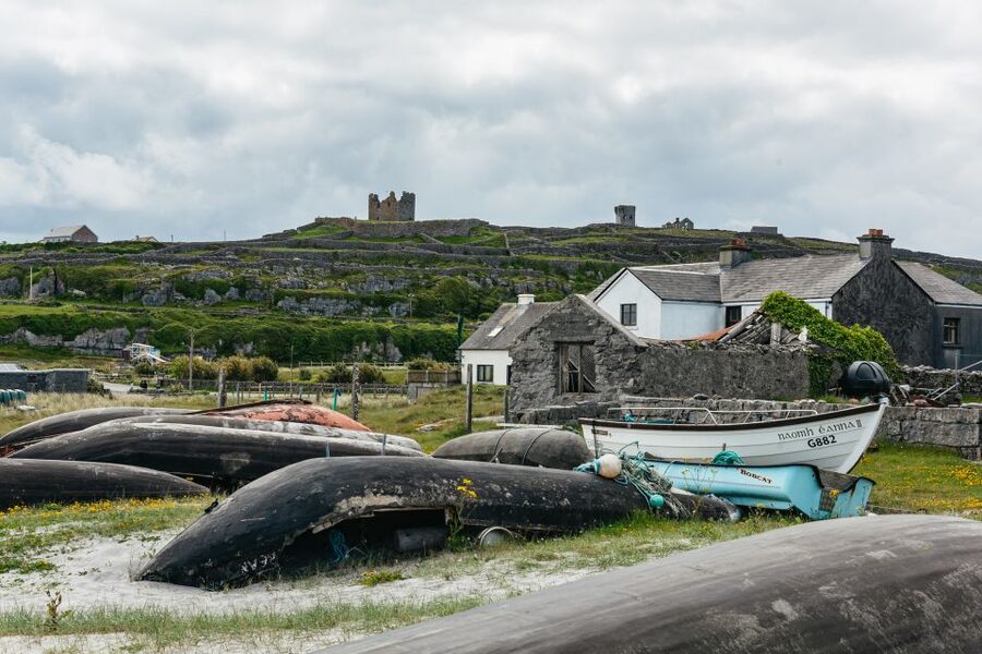 From Galway: Aran Islands & Cliffs of Moher Full-Day Trip - Who this tour suits best, and who should skip it