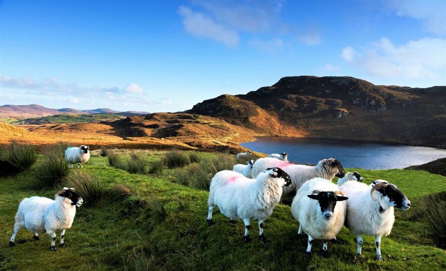 From Galway: Castles of Connemara Full-Day Tour - How This 9-Hour Connemara Day Trip Fits Together