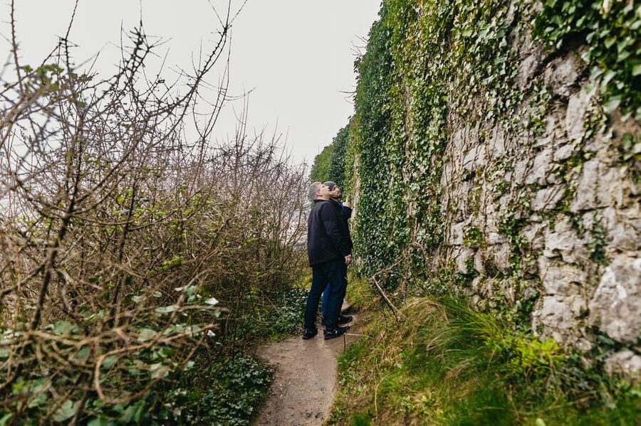 From Galway: Cliffs of Moher and The Burren Guided Day Trip - Cliffs of Moher: make the 90 minutes count