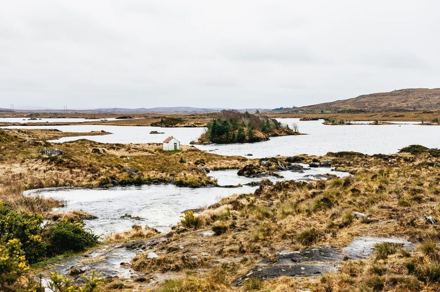 From Galway: Connemara and Connemara National Park Day Trip - Option A: Connemara National Park and the Diamond Hill hike