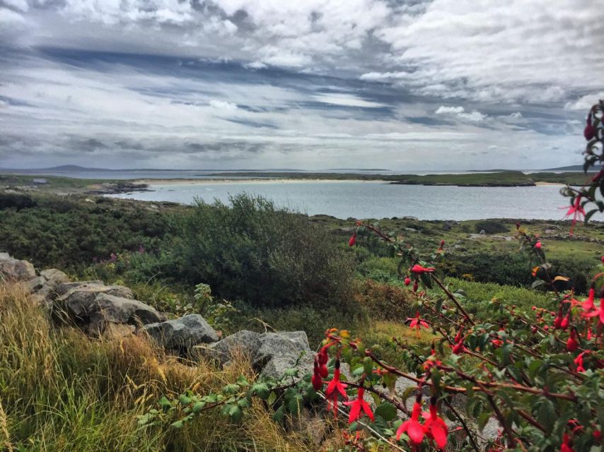 From Galway: Connemara and Kylemore Abbey Day Tour - Clifden and Sky Road: why the break is more than just coffee