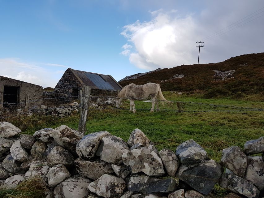 From Galway: Connemara and Kylemore Abbey Day Tour - Or choose Kylemore Abbey and Victorian Walled Gardens for a heritage-focused 3 hours