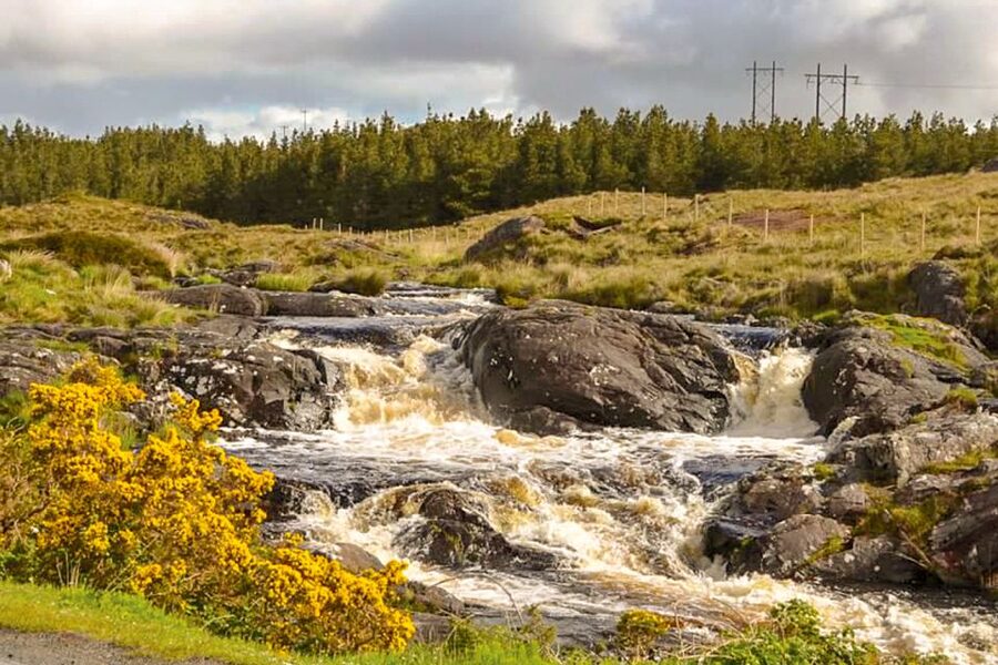 From Galway: Connemara & Kylemore Abbey Full-Day Guided Tour - Key Things You’ll Notice