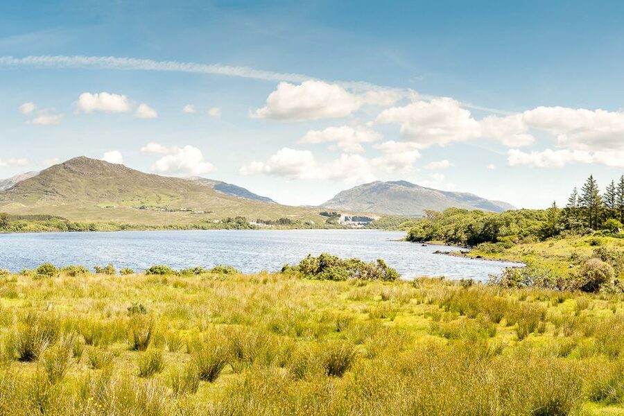 From Galway: Connemara & Kylemore Abbey Full-Day Guided Tour - Price and Logistics: Does $57 Feel Worth It?
