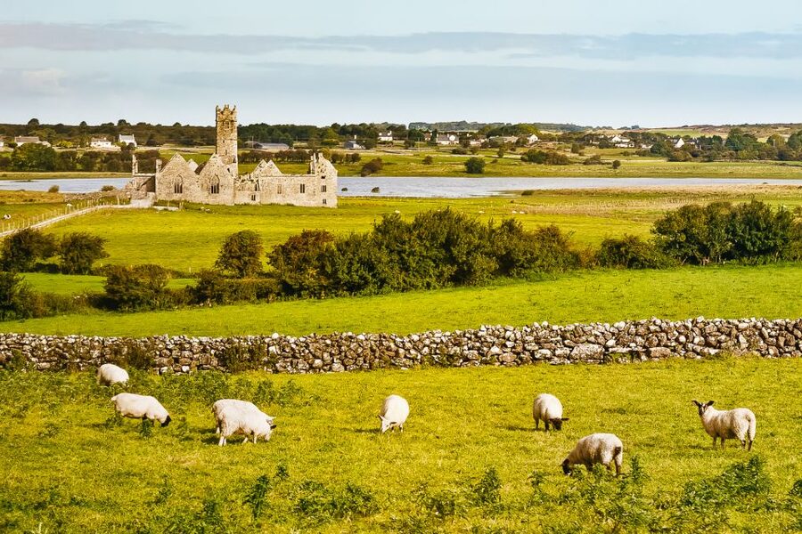 From Galway: Connemara & Kylemore Abbey Full-Day Guided Tour - Should You Book Lally Tours for Connemara and Kylemore Abbey?