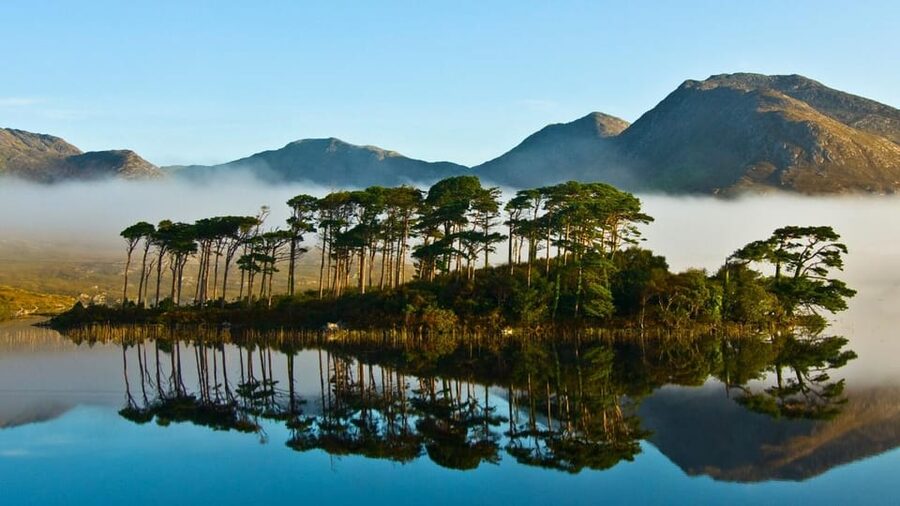 From Galway: Connemara, Kylemore Abbey or National Park Tour - Key Highlights to Expect on This Connemara Day Tour