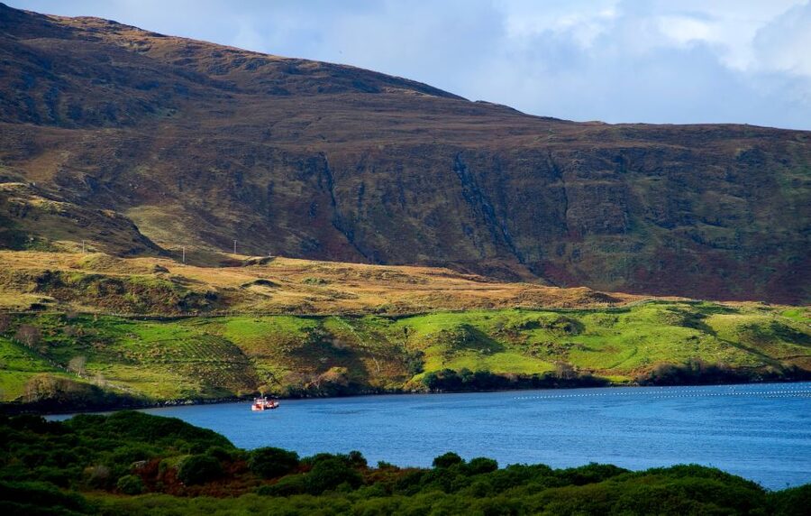 From Galway: Connemara National Park Full Day Tour - Three route choices at the welcome center, choose for your pace