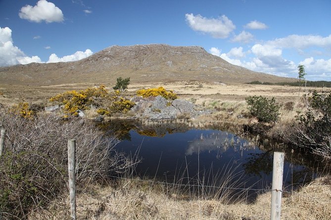 From Galway: Guided tour of Connemara with 3 hour stop in Kylemore Abbey - From Galway to the Claddagh and Salthill, the day gets going fast