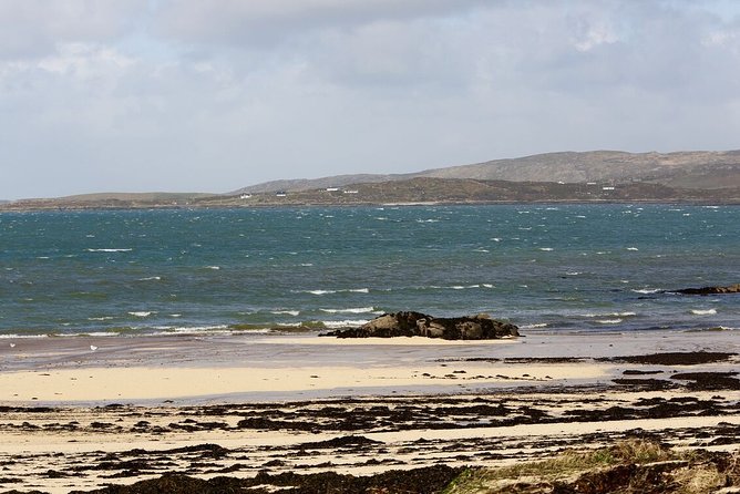 From Galway: Guided tour of Connemara with 3 hour stop in Kylemore Abbey - The walled garden, views, and the part of Kylemore you will remember