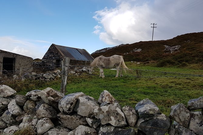 From Galway: Guided tour of Connemara with 3 hour stop in Kylemore Abbey - Recess and the Connemara Giant, plus that Quiet Man film connection
